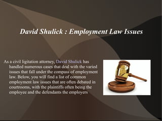 David Shulick : Employment Law Issues
As a civil ligitation attorney, David Shulick has
handled numerous cases that deal with the varied
issues that fall under the compass of employment
law. Below, you will find a list of common
employment law issues that are often debated in
courtrooms, with the plaintiffs often being the
employee and the defendants the employers
 