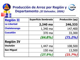 Producción de Arroz por Región y Departamento  (El Salvador, 2006) Región II Superficie Sembrada Producción (qq) La Libertad 2,240 ma 246,333 Chalatenango 1,340 ma 147,400 Cuscatlán 370 ma 33,300 (64.8%) (71.2%) Región IV Usulután 1,447 ma 108,500 San Miguel 150 ma 13,500 (27.5%) (21.7%) 