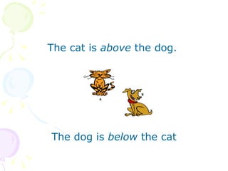 The cat is  above  the dog.  The dog is  below  the cat 