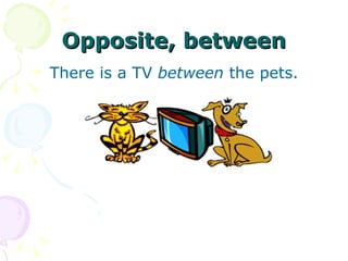 Opposite, between There is a TV  between  the pets. 