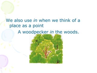 We also use  in  when we think of a place as a point A woodpecker  in  the woods. 