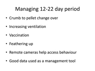 Managing 12-22 day period
• Crumb to pellet change over
• Increasing ventilation
• Vaccination
• Feathering up
• Remote cameras help access behaviour
• Good data used as a management tool
 