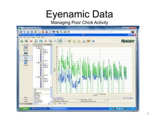 Eyenamic Data
Managing Poor Chick Activity
31
 