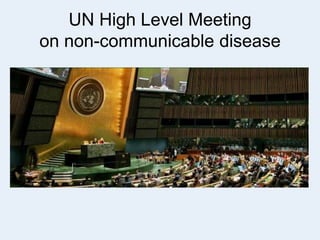 UN High Level Meeting
on non-communicable disease
 