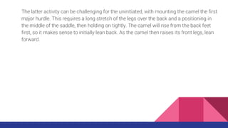 The latter activity can be challenging for the uninitiated, with mounting the camel the first
major hurdle. This requires ...