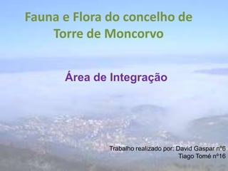 Fauna e Flora do concelho de Torre de Moncorvo Área de Integração   Trabalho realizado por: David Gaspar nº6 Tiago Tomé nº16  