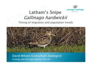 Timing of migration and population trends

David Wilson (Consultant Zoologist)
Ecology and Heritage Partners Pty Ltd

 