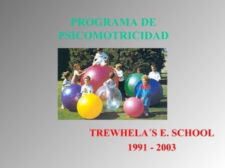 PROGRAMA DE   PSICOMOTRICIDAD TREWHELA´S E. SCHOOL 1991 - 2003 