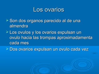 Los ovarios
 Son dos organos parecido al de una

almendra
 Los ovulos y los ovarios expulsan un
ovulo hacia las trompas aproximadamenta
cada mes
 Dos ovarios expulsan un ovulo cada vez

 