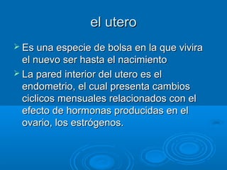 el utero
 Es una especie de bolsa en la que vivira

el nuevo ser hasta el nacimiento
 La pared interior del utero es el
endometrio, el cual presenta cambios
ciclicos mensuales relacionados con el
efecto de hormonas producidas en el
ovario, los estrógenos.

 