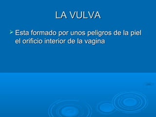 LA VULVA
 Esta formado por unos peligros de la piel

el orificio interior de la vagina

 