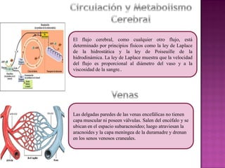 El flujo cerebral, como cualquier otro flujo, está 
determinado por principios físicos como la ley de Laplace 
de la hidrostática y la ley de Poiseuille de la 
hidrodinámica. La ley de Laplace muestra que la velocidad 
del flujo es proporcional al diámetro del vaso y a la 
viscosidad de la sangre.. 
Las delgadas paredes de las venas encefálicas no tienen 
capa muscular ni poseen válvulas. Salen del encéfalo y se 
ubican en el espacio subaracnoideo; luego atraviesan la 
aracnoides y la capa meníngea de la duramadre y drenan 
en los senos venosos craneales. 
 