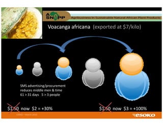Voacanga africana (exported at $7/kilo)




  producer

         SMS advertising/procurement 
         SMS advertising/procurement
         reduces middle men & time
         61 > 31 days   5 > 3 people
                                                                 exporter


$1.50  now  $2 = +30%                          $1.50  now  $3 = +100%
     CIRAD – March 2010
 