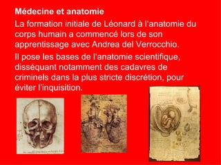 Médecine et anatomie
La formation initiale de Léonard à l‘anatomie du
corps humain a commencé lors de son
apprentissage avec Andrea del Verrocchio.
Il pose les bases de l‘anatomie scientifique,
disséquant notamment des cadavres de
criminels dans la plus stricte discrétion, pour
éviter l’inquisition.
 