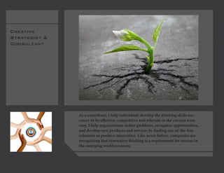 Creative 
Strategist & Consultant 
As a consultant, I help individuals develop the thinking skills necessary to be effective, competitive and relevant in the current economy. I help organizations define problems, recognize opportunities, and develop new products and services by finding out-of-the-box solutions to produce innovation. Like never before, companies are recognizing that innovative thinking is a requirement for success in the emerging world economy.  