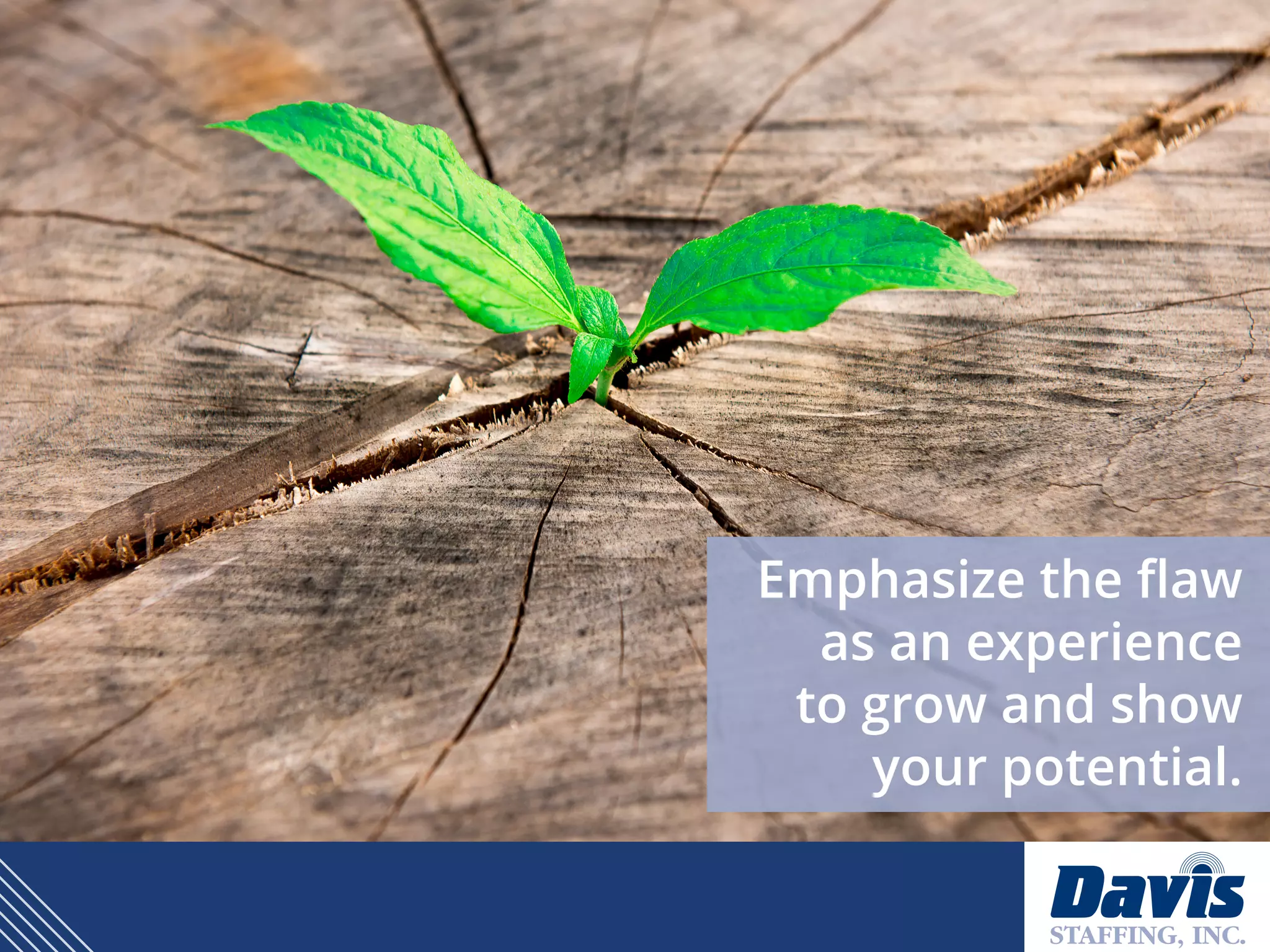 Emphasize the flaw
as an experience
to grow and show
your potential.
 