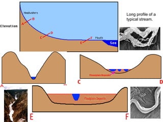 Long profile of a
typical stream.
 