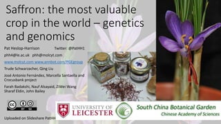 Saffron: the most valuable
crop in the world – genetics
and genomics
Pat Heslop-Harrison Twitter: @PatHH1
phh4@le.ac.uk ph...