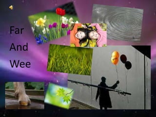 Far AndWee