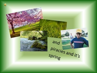 and piracies and it’s spring 