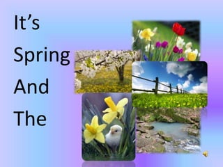 It’s SpringAnd The