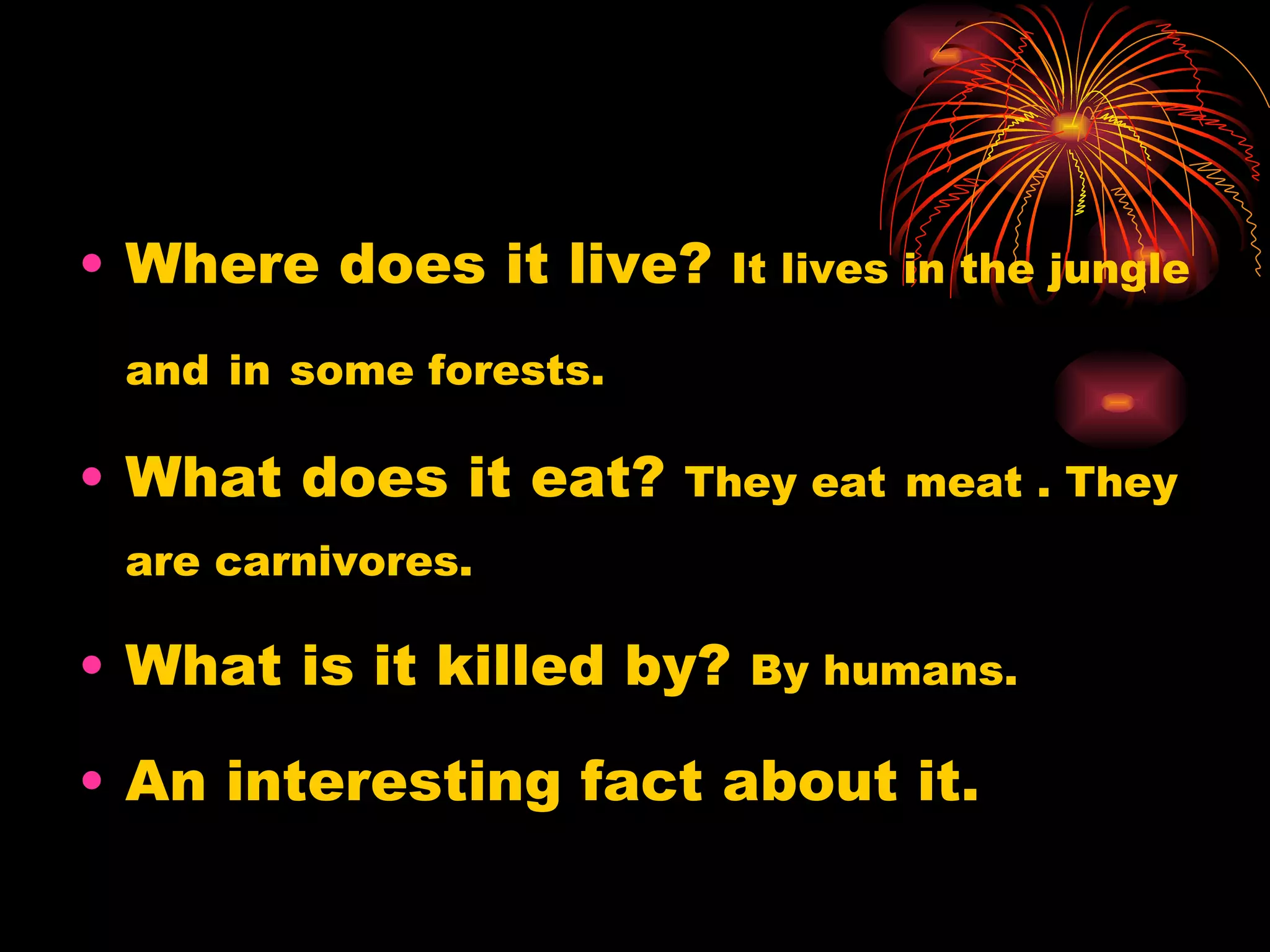 Where does it live?  It lives in the jungle and   in   some forests. What does it eat?  They eat   meat . They are carnivores. What is it killed by?  By humans. An interesting fact about it. 