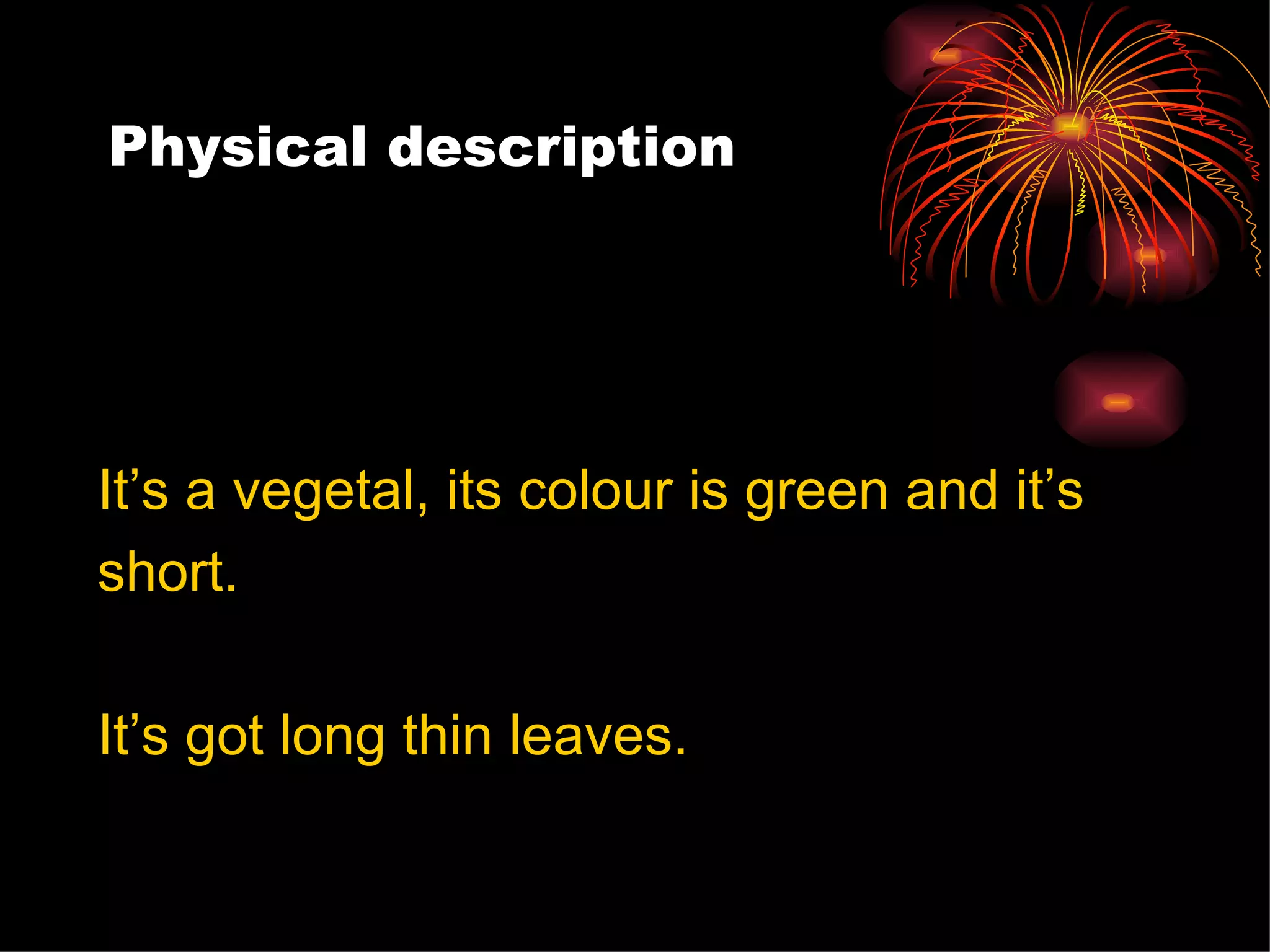 Physical description It’s a vegetal, its colour is green and it’s  short.  It’s got long thin leaves.  