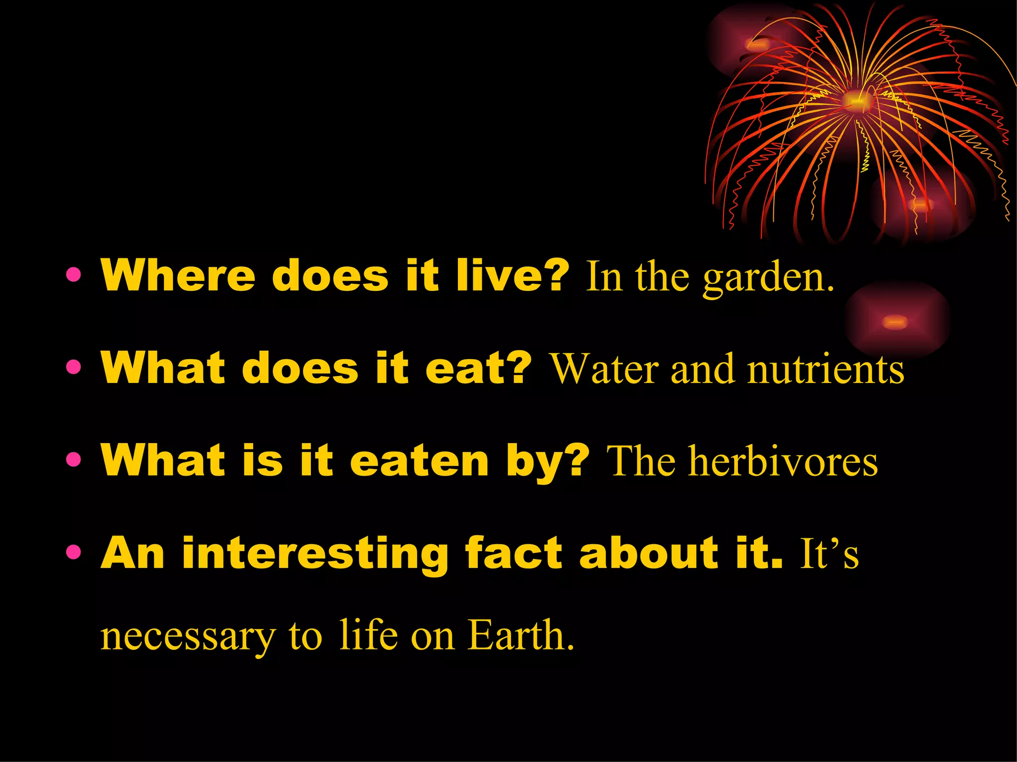 Where does it live?  In the garden.  What does it eat?  Water and nutrients What is it eaten by?  The herbivores An interesting fact about it.  It’s necessary to   life on Earth. 