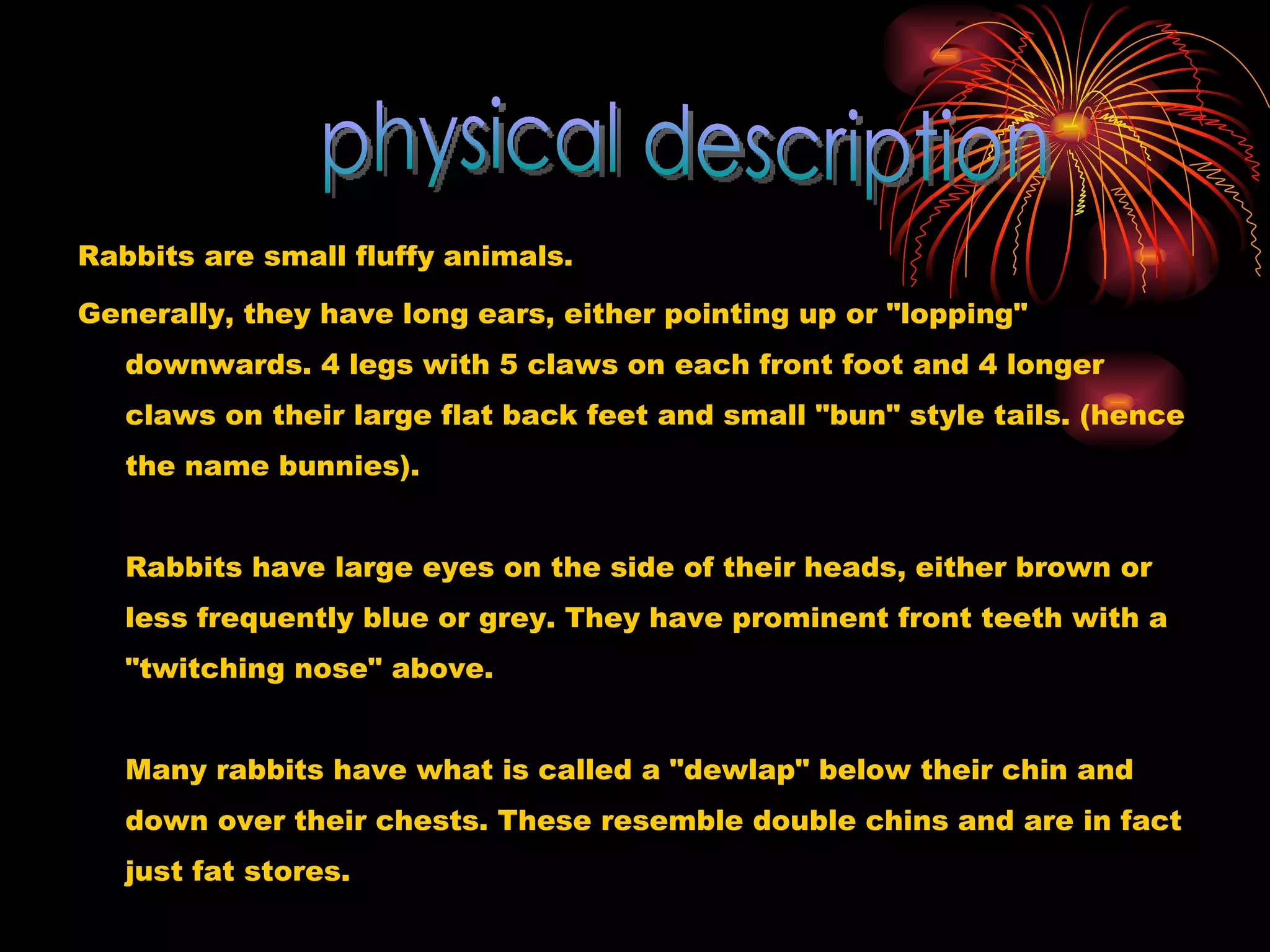 Rabbits are small fluffy animals. Generally, they have long ears, either pointing up or &quot;lopping&quot; downwards. 4 legs with 5 claws on each front foot and 4 longer claws on their large flat back feet and small &quot;bun&quot; style tails. (hence the name bunnies).  Rabbits have large eyes on the side of their heads, either brown or less frequently blue or grey. They have prominent front teeth with a &quot;twitching nose&quot; above.  Many rabbits have what is called a &quot;dewlap&quot; below their chin and down over their chests. These resemble double chins and are in fact just fat stores.  physical description 