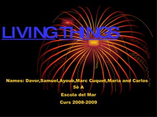 LIVING   THINGS   Names: Davor,Samuel,Ayoub,Marc Cuquet,Maria and Carlos  5è A Escola del Mar Curs 2008-2009 