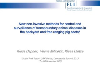 New non-invasive methods for control and
surveillance of transboundary animal diseases in
the backyard and free ranging pig sector

Klaus Depner, Vesna Milicevic, Klaas Dietze
Global Risk Forum GRF Davos, One Health Summit 2013
17 – 20 November 2013

 