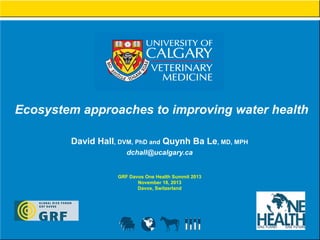 Ecosystem approaches to improving water health
David Hall, DVM, PhD and Quynh Ba Le, MD, MPH
dchall@ucalgary.ca
GRF Davos One Health Summit 2013
November 18, 2013
Davos, Switzerland

 