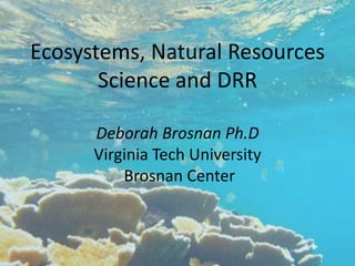 Ecosystems, Natural Resources 
Science and DRR 
Deborah Brosnan Ph.D 
Virginia Tech University 
Brosnan Center 
 