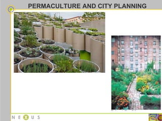 PERMACULTURE AND CITY PLANNING 