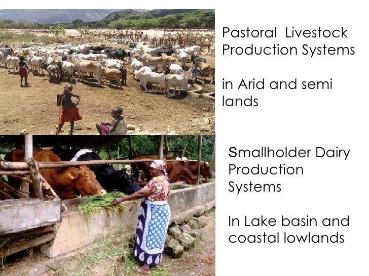 Vulnerability Assessment of Livestock Production Systems to Climater…