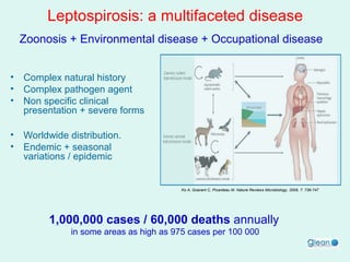 Leptospirosis: a multifaceted disease
Zoonosis + Environmental disease + Occupational disease
•
•
•

Complex natural history
Complex pathogen agent
Non specific clinical
presentation + severe forms

•
•

Worldwide distribution.
Endemic + seasonal
variations / epidemic

Ko A, Goarant C, Picardeau M. Nature Reviews Microbiology, 2009, 7: 736-747

1,000,000 cases / 60,000 deaths annually
in some areas as high as 975 cases per 100 000

 