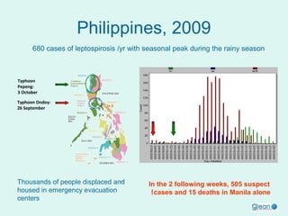 Philippines, 2009
680 cases of leptospirosis /yr with seasonal peak during the rainy season

Typhoon
Pepeng:
3 October
Typhoon Ondoy:
26 September

Thousands of people displaced and
housed in emergency evacuation
centers

In the 2 following weeks, 505 suspect
! cases and 15 deaths in Manila alone

 