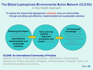 The Global Leptospirosis Environmental Action Network (GLEAN)
A One Health Approach
To reduce the impact that leptospirosis outbreaks have on communities
through providing cost-effective, implementable and sustainable solutions

Reducing the impact
of leptospirosis
outbreaks through
cost-effective,
implementable and
sustainable
solutions

Early warning
systems and
Improved
prevention and
control strategies

Increasing the
knowledge of the
relationship between
environmental,
biological, ecological,
economic,
demographic factors

GLEAN: An international Community of Practice
Medical Clinicians, Public health specialists, Veterinarians, Climatologists,
Statisticians, Rodent specialists, Biologists, Anthropologists, Ecologists, Water and
Sanitation Specialists, Economists...

 