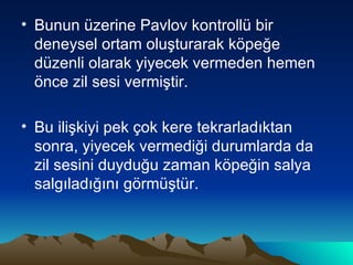 Bunun üzerine Pavlov kontrollü bir deneysel ortam oluşturarak köpeğe düzenli olarak yiyecek vermeden hemen önce zil sesi vermiştir.  Bu ilişkiyi pek çok kere tekrarladıktan sonra, yiyecek vermediği durumlarda da zil sesini duyduğu zaman köpeğin salya salgıladığını görmüştür.  