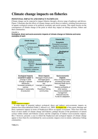 Climate change impacts on fisheries
POTENTIAL IMPACTS AND IMPACT PATHWAYS
Climate change can be expected to impact fisheries through a diverse range of pathways and drivers.
Figure 3 illustrates that the effects of climate change can be direct or indirect, resulting from processes
in aquatic ecological systems or by political, economic and social systems. This report focuses on the
consequences of climate change at the point at which they impact on fishing activities, fishers and
their communities.
FIGURE 3.
Ecological, direct and socio-economic impacts of climate change on fisheries and some
examples of each

                                                                   Fisheries SES
                      Climate change
                                                                Ecosystems
                           Temperature
                                                          Ecosystem processes
             GHGs                        Biophys. effects Aquatic Environment
                           Extreme events
                                                         Fish stocks & production
                           SL rise
                                                                        Ecological
                           Acidification                              effects
                                           Direct effects


                  Politics, society and economy                  Fishing activities
                             Markets                                   Yield
                             Migration Socioeconomic effects          Effort
                              Labour                               Livelihoods
                    Consumption patterns                          Management
                     Mitigation measures
                            Fuel prices

           Ecological impacts             Direct impacts             Socio-economic
          (covered in paper 1)         Damaged infrastructure            impacts
             Change in yield              Damaged gears          Influx of migrant fishers
            Change in species           Increased danger at        Increasing fuel costs
               distribution                     sea              Reduced health due to
         Increased variability of      Loss/gain of navigation            disease
                 catches                       routes             Relative profitability of
         Changes in seasonality          Flooding of fishing           other sectors
              of production                 communities          Resources available for
                                                                       management
                                                                     Reduced security
                                                                   Funds for adaptation


Source: ?
Finalize reference to chapter 1
    A wide range of potential indirect ecological, direct and indirect socio-economic impacts on
fisheries have been identified (Table 5, Allison et al., 2005). In chapter one of this report, Barange and
Perry summarise impacts in terms of biophysical effects on aquatic ecosystems. These have been the
focus of most studies of climate change and fisheries, perhaps because of the prominence of natural
science within climate and fisheries science and the complexity of indirect socio-economic impacts.
Box 3 however, presents a case in which the biophysical and ecological impacts of climate change
appear to have been be overwhelmed by socio-economic impacts even in remote, subsistence fishing
communities.

TABLE 5.



                                                                                                       111
 