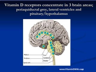 www.VitaminDWiki.com16
 