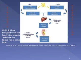 H
Y
D
R
O
X
Y
L
A
T
I
O
N
S
Y
N
T
H
E
S
I
S
Vit D2 & D3 are
biologically inert and
Require two separate
hydroxylations
to give rise to active
form.
Vuolo, L. et.al. (2012). Vitamin D and cancer. Front. Endocrinol. doi: 10.3389/fendo.2012.00058
4
 