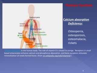 Calcium regulation in the human body. The role of vitamin D is shown in orange. Receptors in small
bowel enterocytes enhance calcium and phosphorus absorption, and bone receptors stimulate
mineralization of newly formed bone. (from en.wikipedia.org/wiki/vitamind )
Primary Function
Calcium absorption
Deficiency:
Osteopenia,
osteoporosis,
osteomalacia,
rickets
9
 