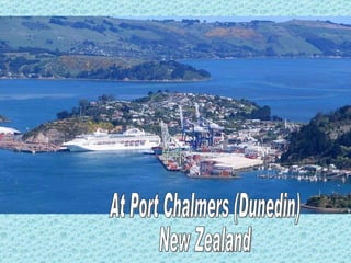 At Port Chalmers (Dunedin)  New Zealand 