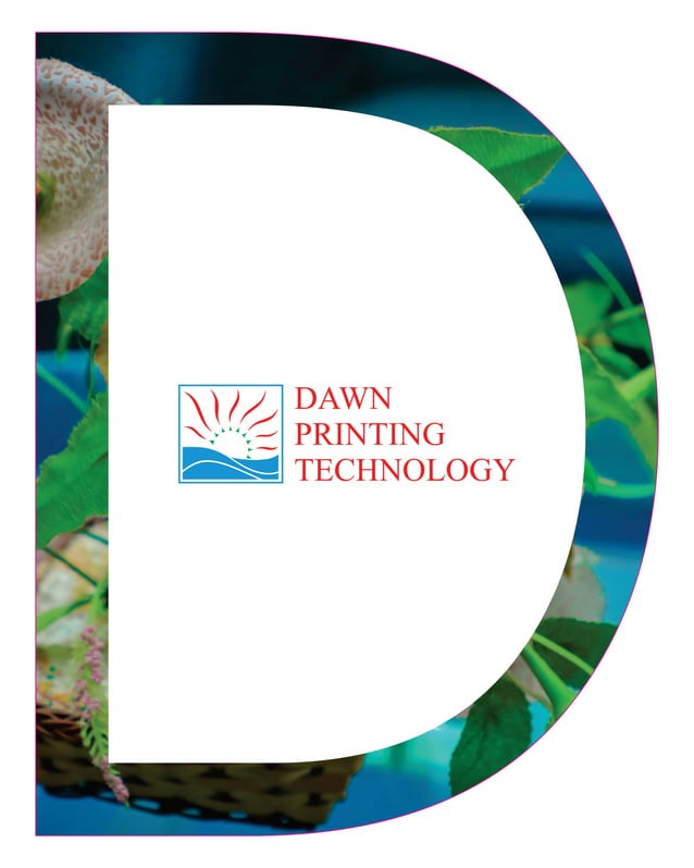Dawn printing brochure | PDF
