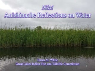 Nibi
Anishinaabe Reflections on Water
Dawn M. White
Great Lakes Indian Fish and Wildlife Commission
1
 