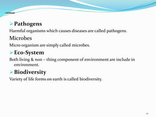 Energy & Environment Engg | PPTX