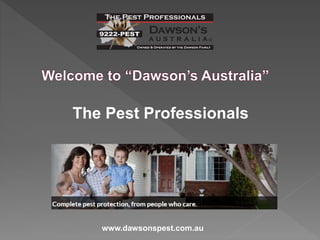 The Pest Professionals
www.dawsonspest.com.au
 