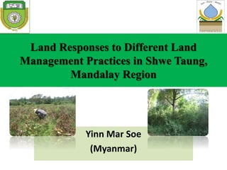 Land Responses to Different Land
Management Practices in Shwe Taung,
Mandalay Region
Yinn Mar Soe
(Myanmar)
 