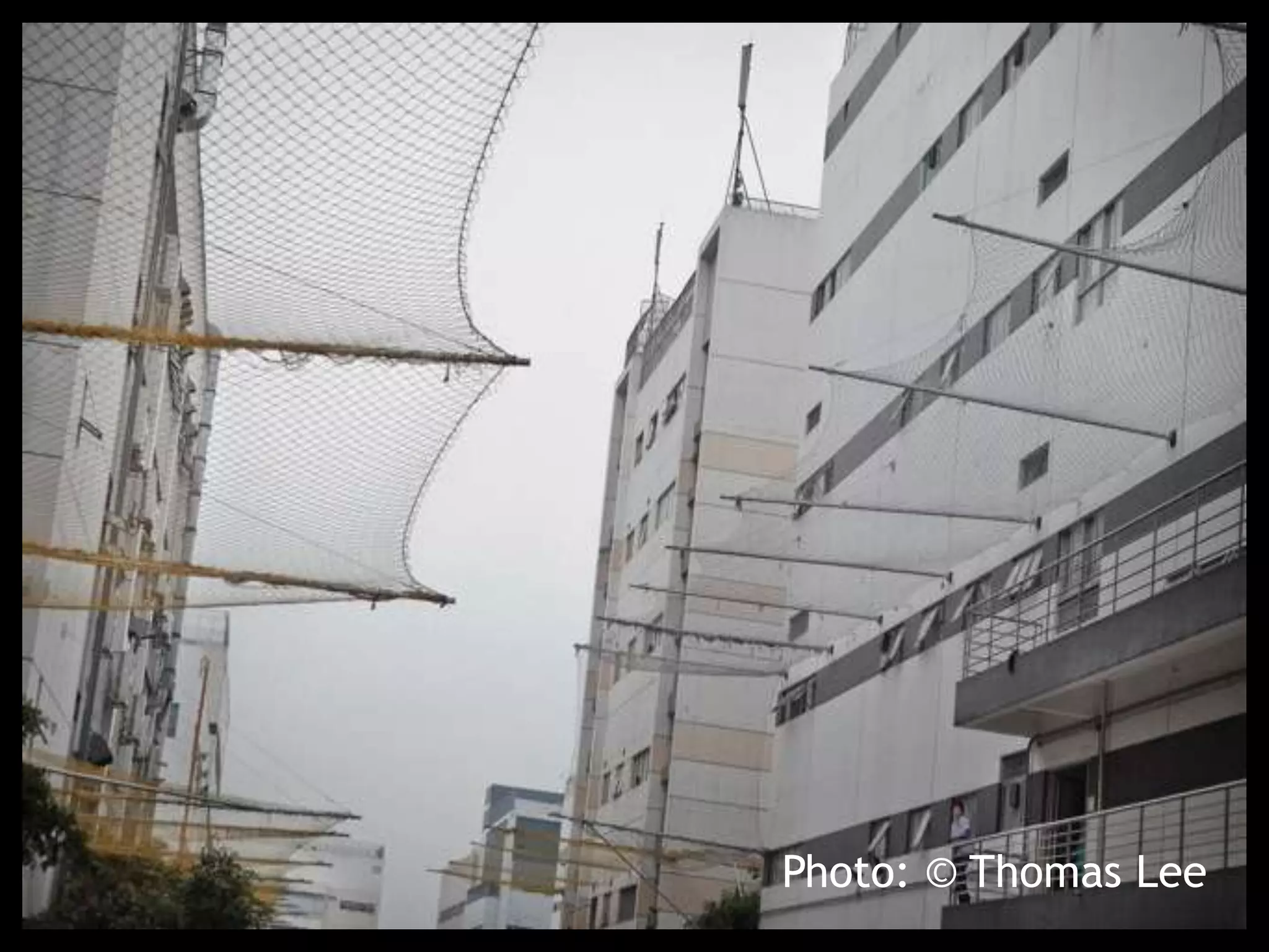 Photo: © Thomas Lee
 